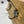 Load image into Gallery viewer, 'Made in Yorkshire' Coat Hook (Four) - Antique Silver-Coat Hook-Rustic Fox LTD-Rustic Fox LTD